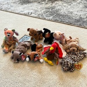 Ty Beanie Baby Lot of 9!